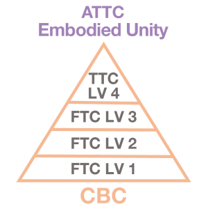 atc-diagram